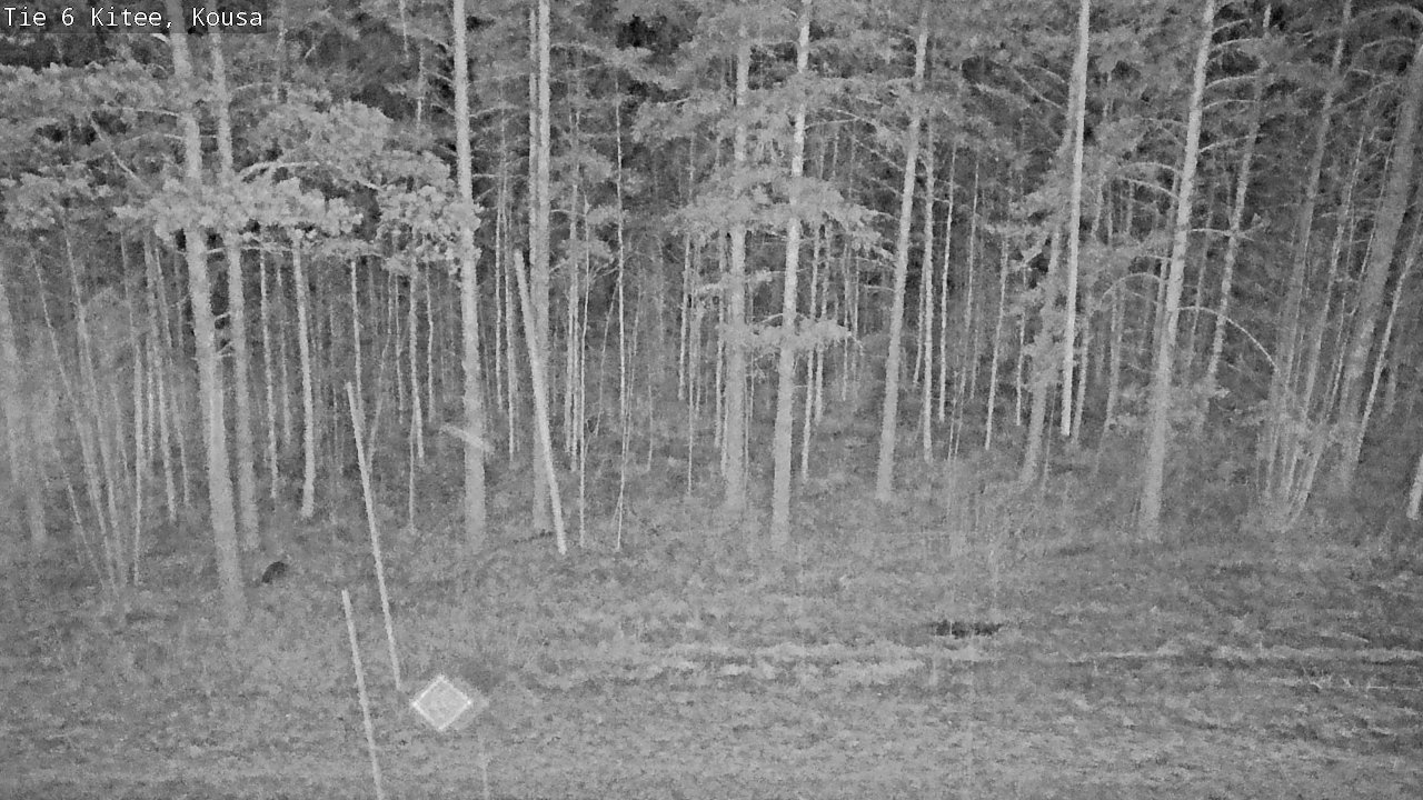 Kelikamerat Kuva Tie 6, Kitee, Kousa, Kitee, Pohjois-Karjala