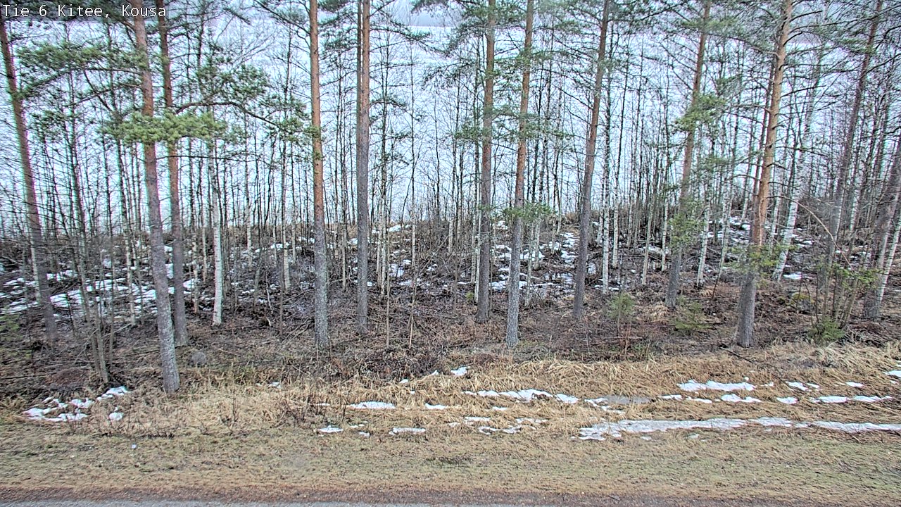 Kelikamerat Kuva Tie 6, Kitee, Kousa, Kitee, Pohjois-Karjala