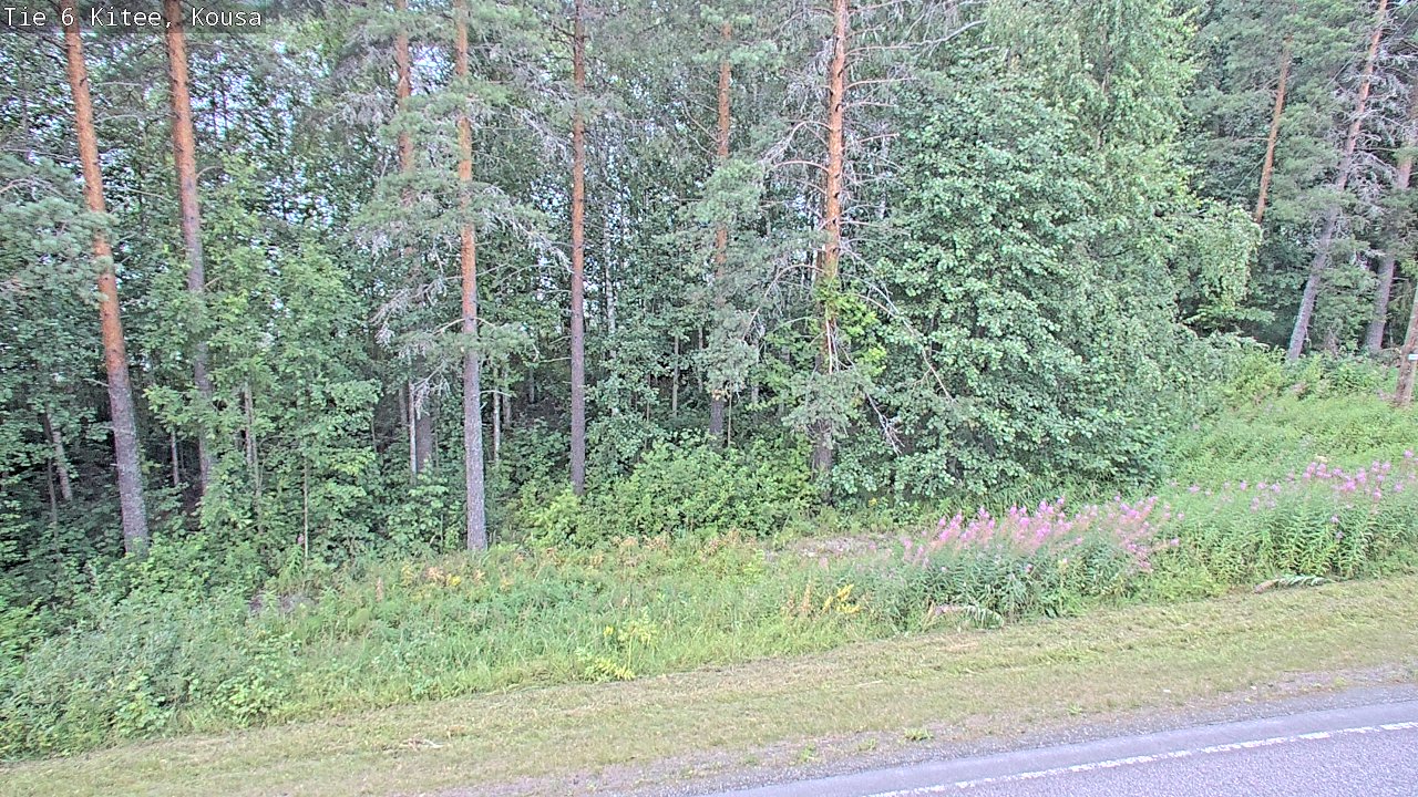 Weather Camera Image Road 6, Kitee, Kousa, Kitee, Pohjois-Karjala