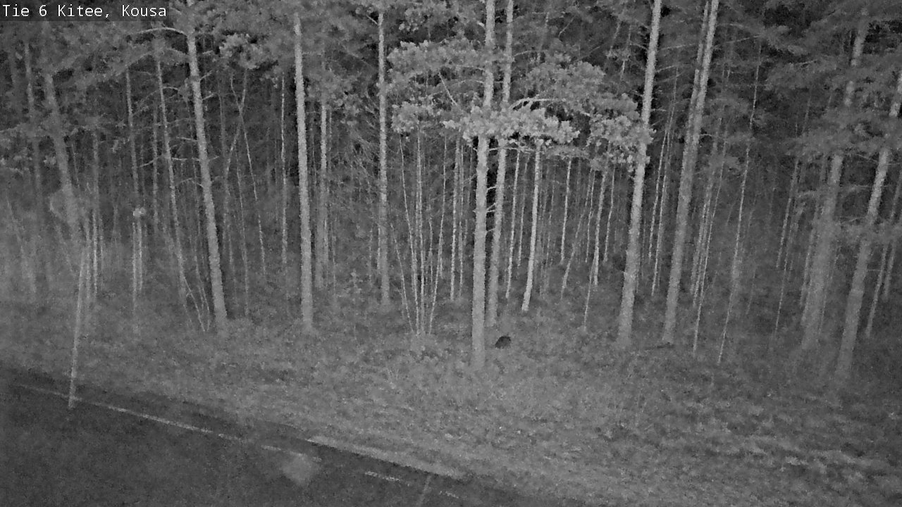 Kelikamerat Kuva Tie 6, Kitee, Kousa, Kitee, Pohjois-Karjala