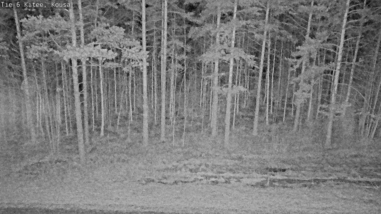 Kelikamerat Kuva Tie 6, Kitee, Kousa, Kitee, Pohjois-Karjala