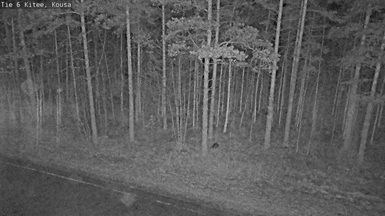 Kelikamerat Kuva Tie 6, Kitee, Kousa, Kitee, Pohjois-Karjala