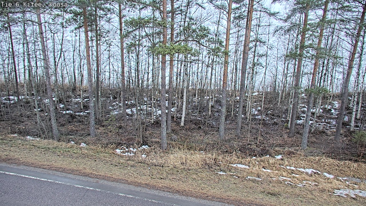 Weather Camera Image Road 6, Kitee, Kousa, Kitee, Pohjois-Karjala