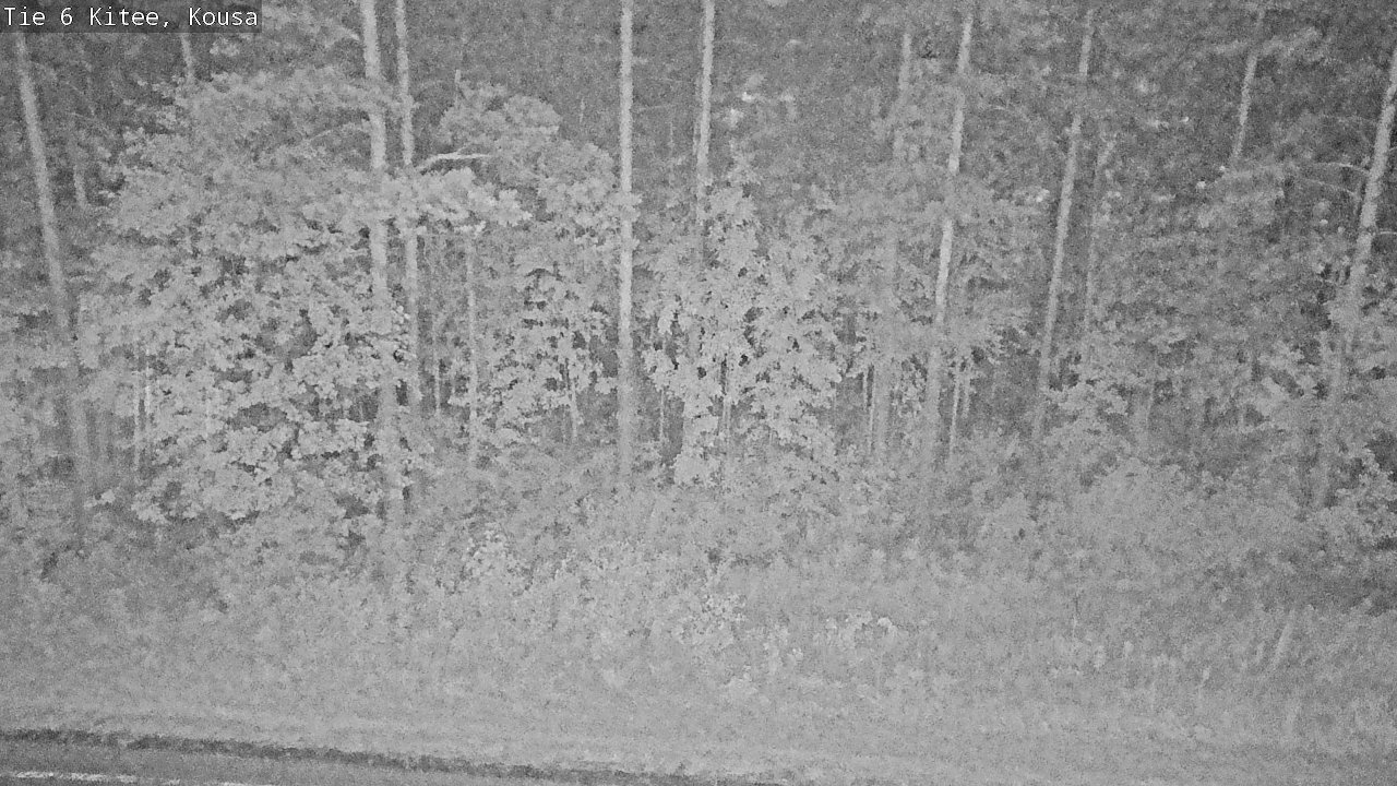 Kelikamerat Kuva Tie 6, Kitee, Kousa, Kitee, Pohjois-Karjala