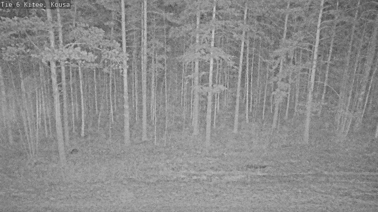 Kelikamerat Kuva Tie 6, Kitee, Kousa, Kitee, Pohjois-Karjala