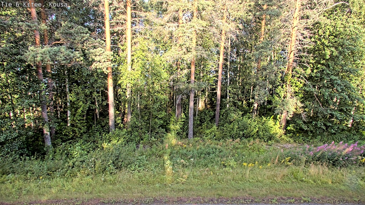 Kelikamerat Kuva Tie 6, Kitee, Kousa, Kitee, Pohjois-Karjala