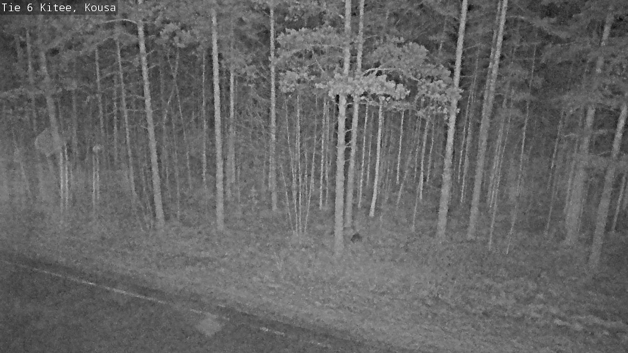 Kelikamerat Kuva Tie 6, Kitee, Kousa, Kitee, Pohjois-Karjala