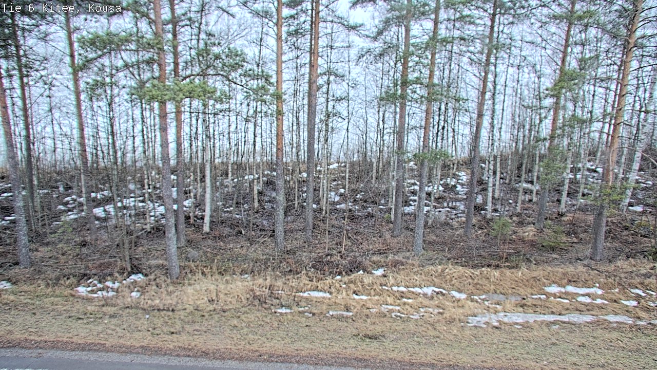 Weather Camera Image Road 6, Kitee, Kousa, Kitee, Pohjois-Karjala