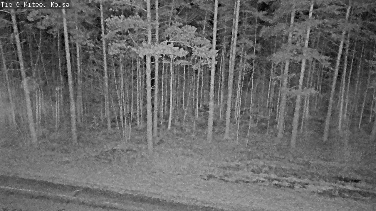 Kelikamerat Kuva Tie 6, Kitee, Kousa, Kitee, Pohjois-Karjala