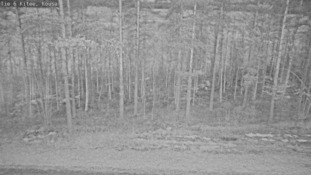 Kelikamerat Kuva Tie 6, Kitee, Kousa, Kitee, Pohjois-Karjala