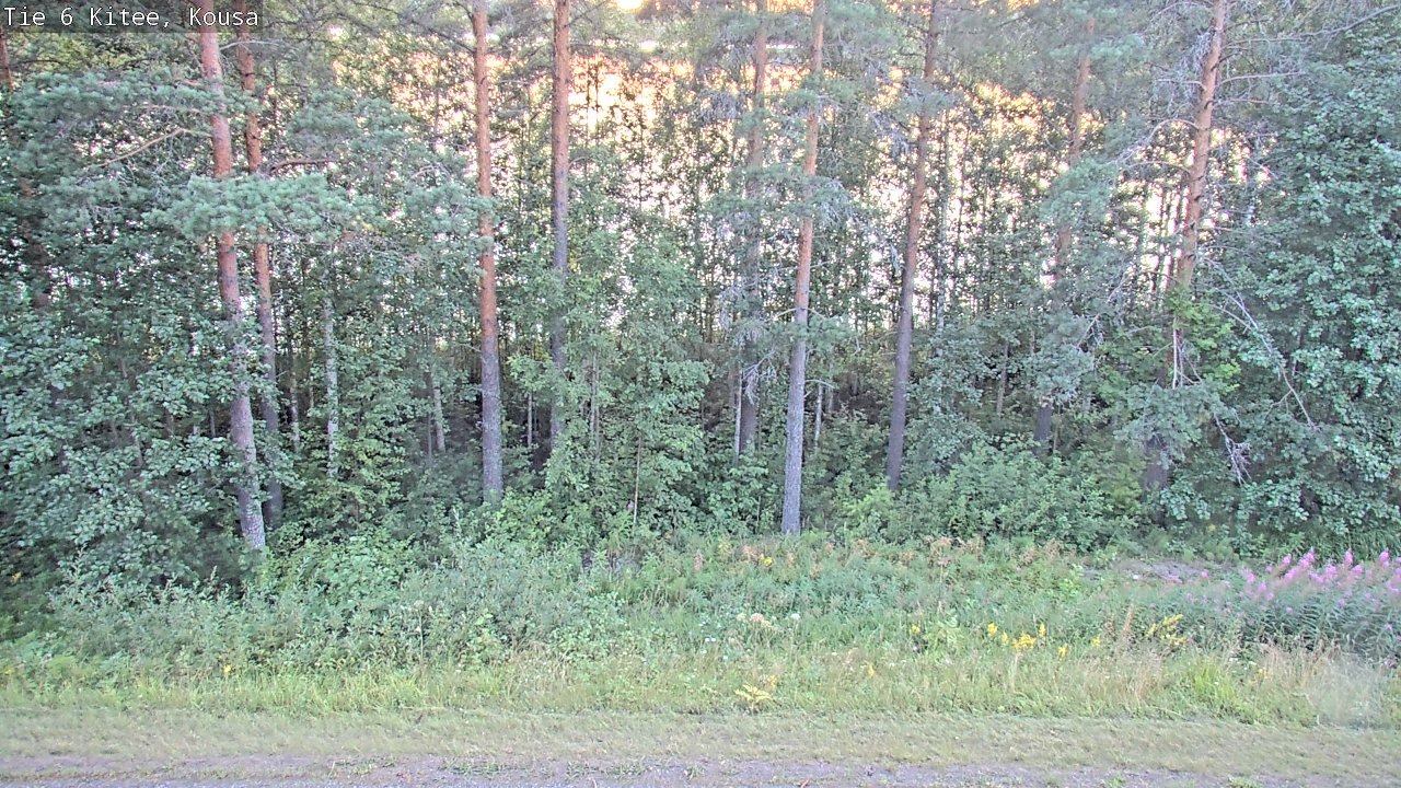 Kelikamerat Kuva Tie 6, Kitee, Kousa, Kitee, Pohjois-Karjala