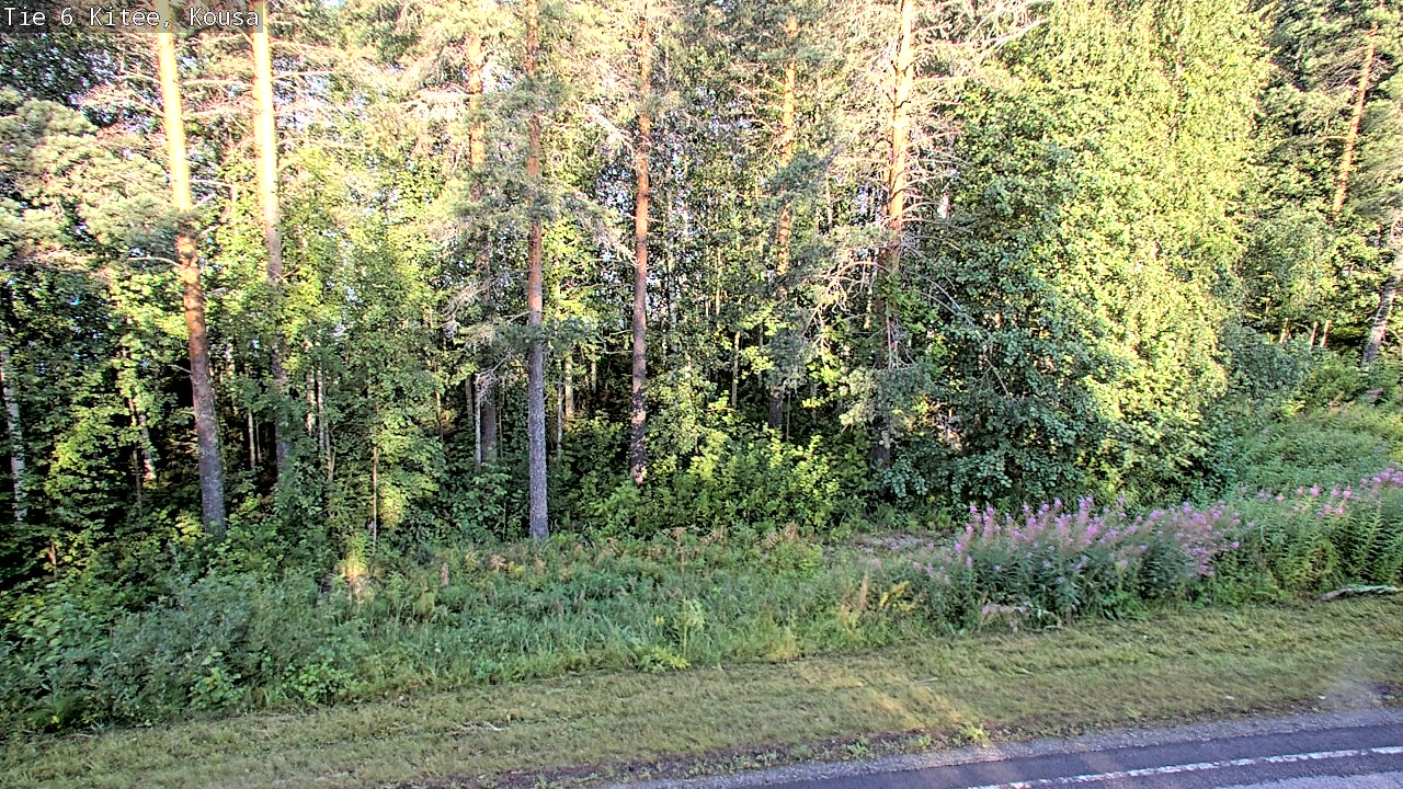 Weather Camera Image Road 6, Kitee, Kousa, Kitee, Pohjois-Karjala