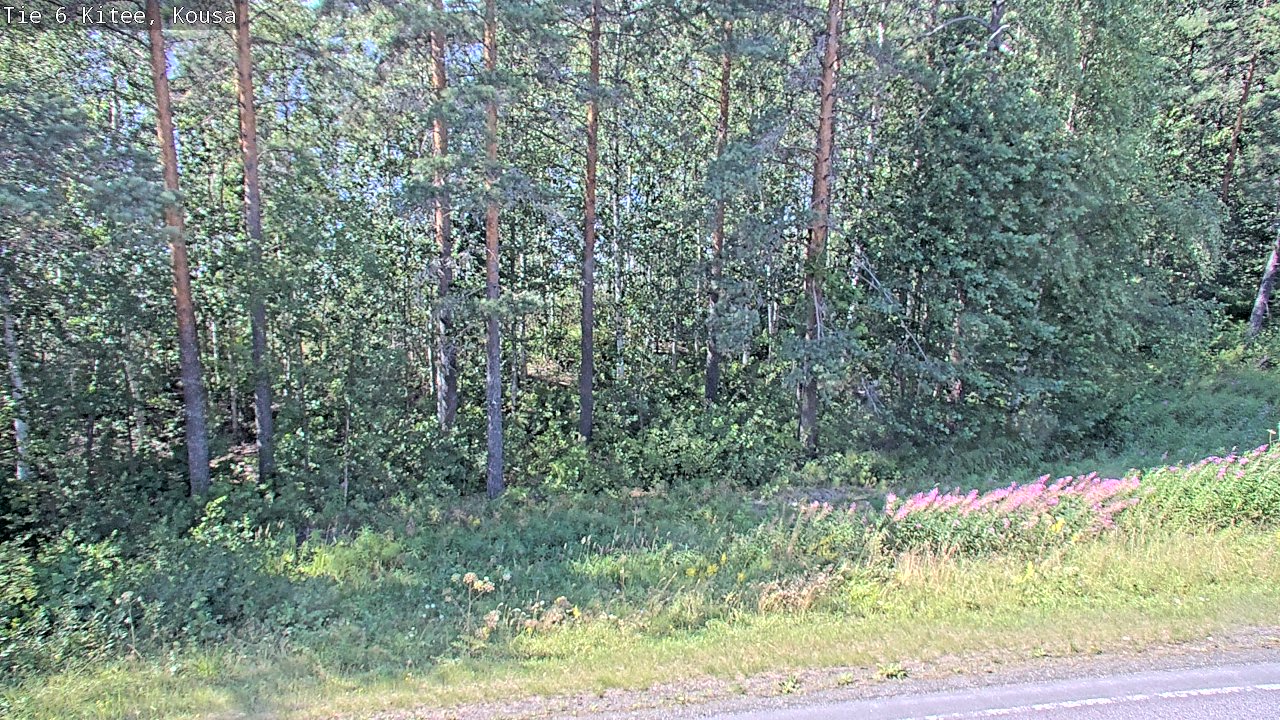 Kelikamerat Kuva Tie 6, Kitee, Kousa, Kitee, Pohjois-Karjala