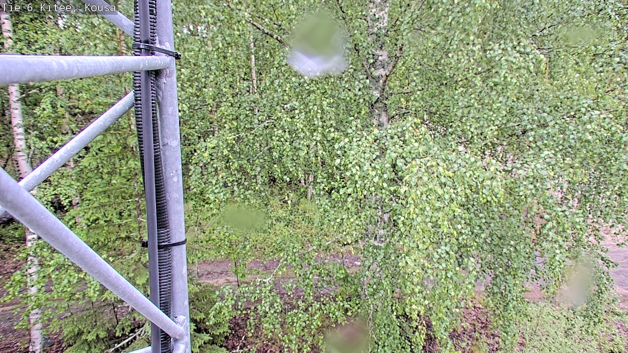 Kelikamerat Kuva Tie 6, Kitee, Kousa, Kitee, Pohjois-Karjala