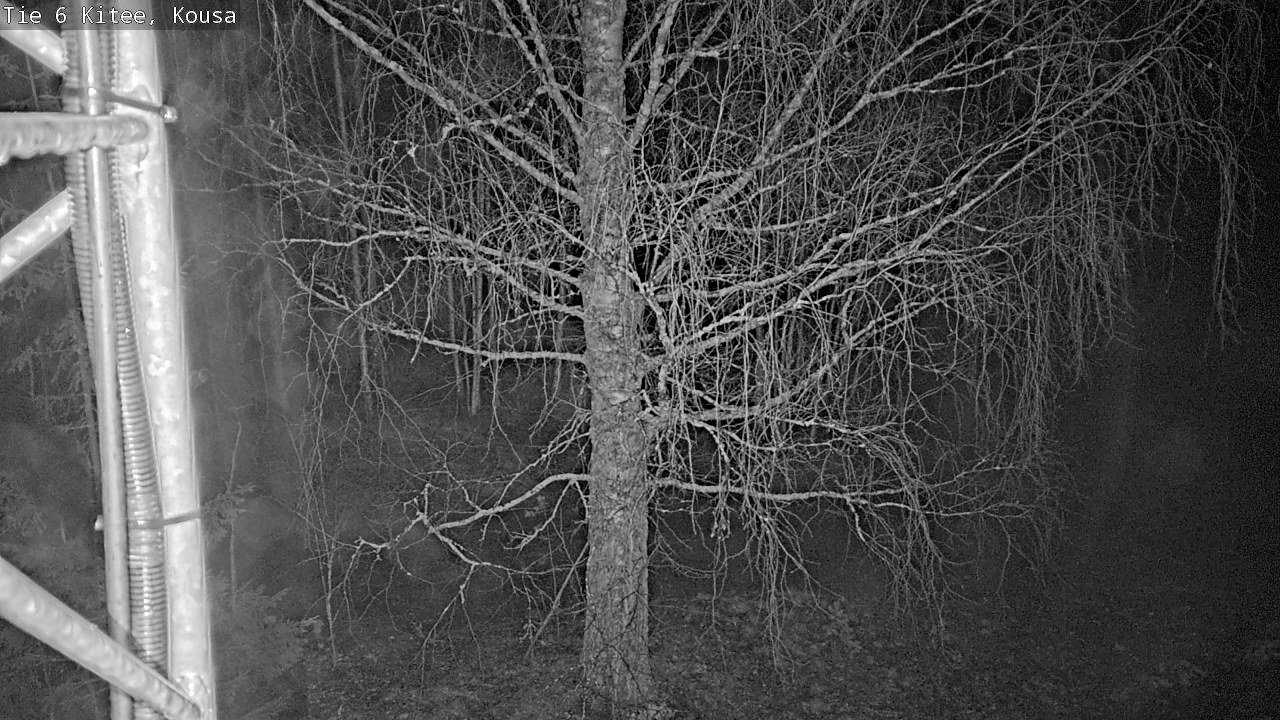 Weather Camera Image Road 6, Kitee, Kousa, Kitee, Pohjois-Karjala