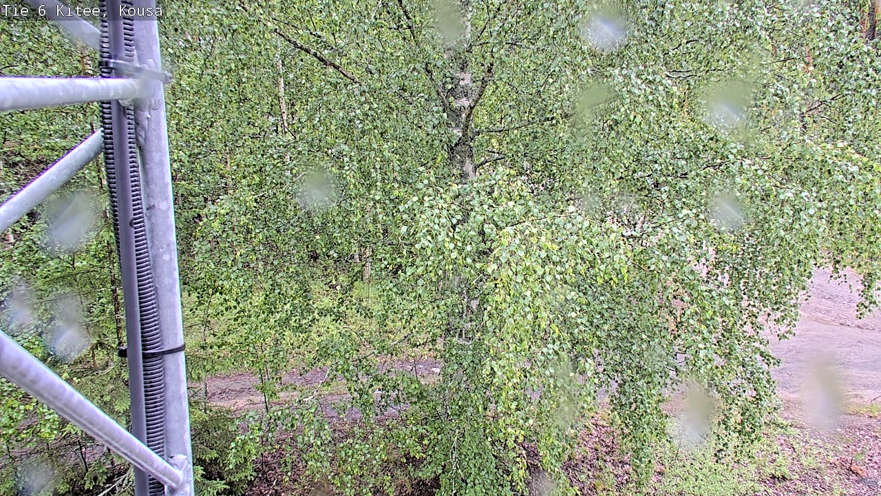 Weather Camera Image Road 6, Kitee, Kousa, Kitee, Pohjois-Karjala