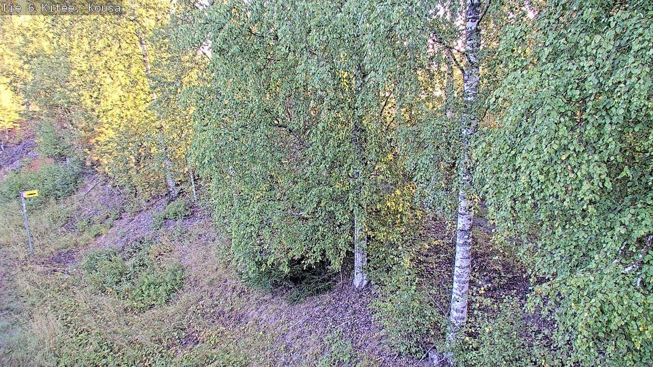 Weather Camera Image Road 6, Kitee, Kousa, Kitee, Pohjois-Karjala