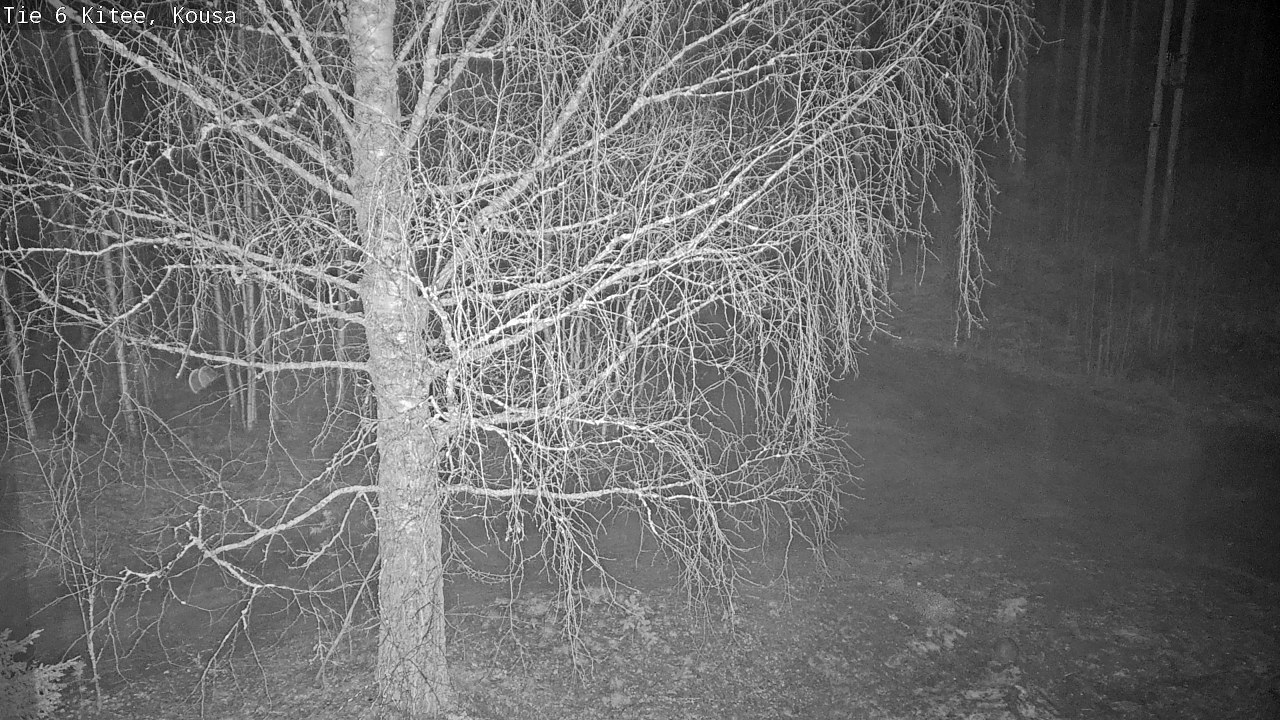 Weather Camera Image Road 6, Kitee, Kousa, Kitee, Pohjois-Karjala