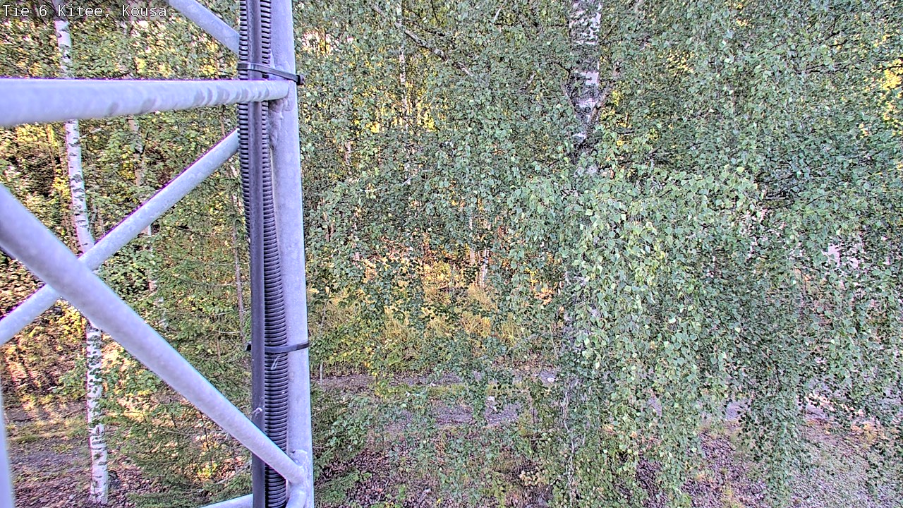 Weather Camera Image Road 6, Kitee, Kousa, Kitee, Pohjois-Karjala