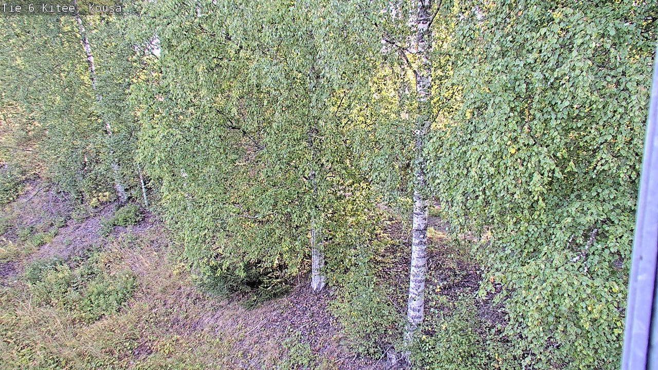 Weather Camera Image Road 6, Kitee, Kousa, Kitee, Pohjois-Karjala