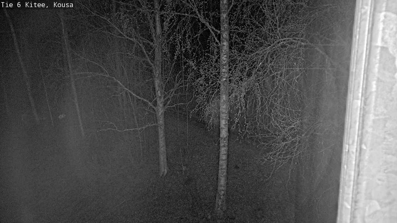 Weather Camera Image Väg 6, Kitee, Kousa, Kitee, Pohjois-Karjala