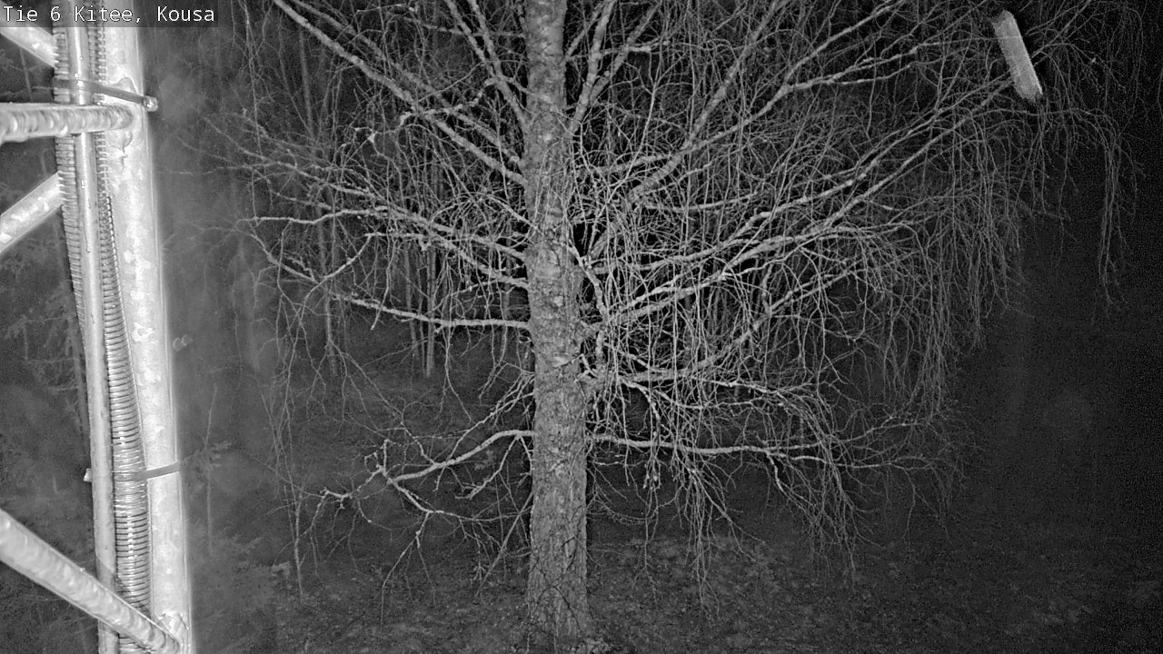 Weather Camera Image Road 6, Kitee, Kousa, Kitee, Pohjois-Karjala