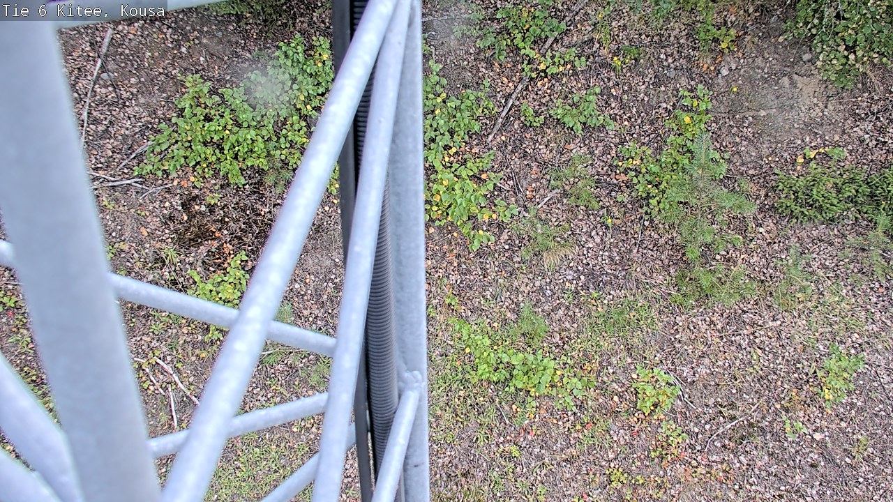Weather Camera Image Road 6, Kitee, Kousa, Kitee, Pohjois-Karjala