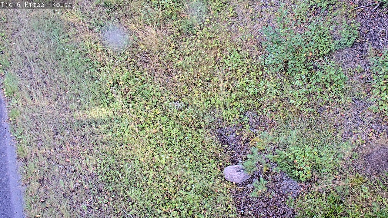 Weather Camera Image Road 6, Kitee, Kousa, Kitee, Pohjois-Karjala