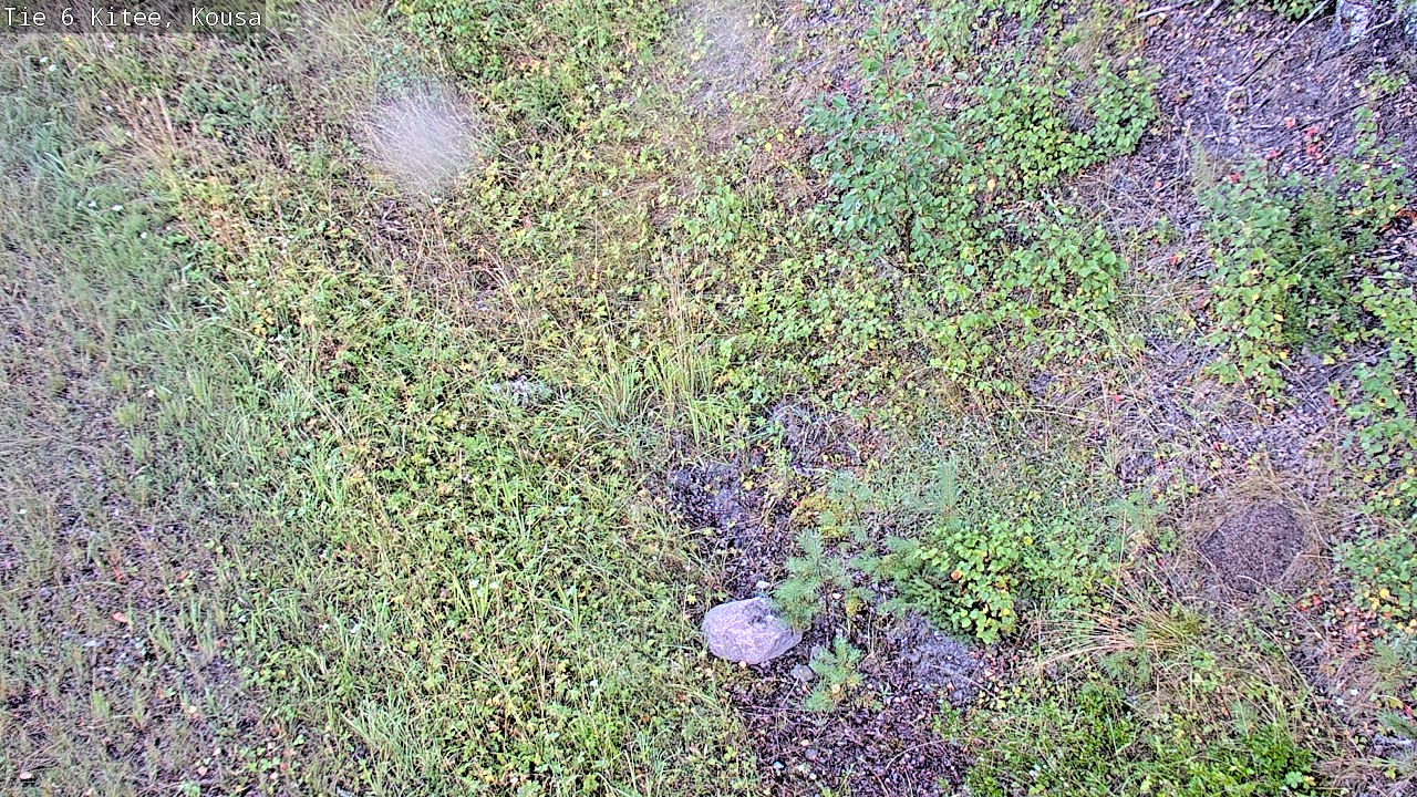 Weather Camera Image Road 6, Kitee, Kousa, Kitee, Pohjois-Karjala