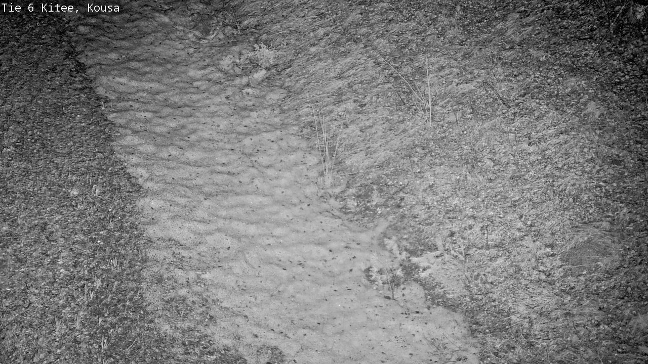 Kelikamerat Kuva Tie 6, Kitee, Kousa, Kitee, Pohjois-Karjala