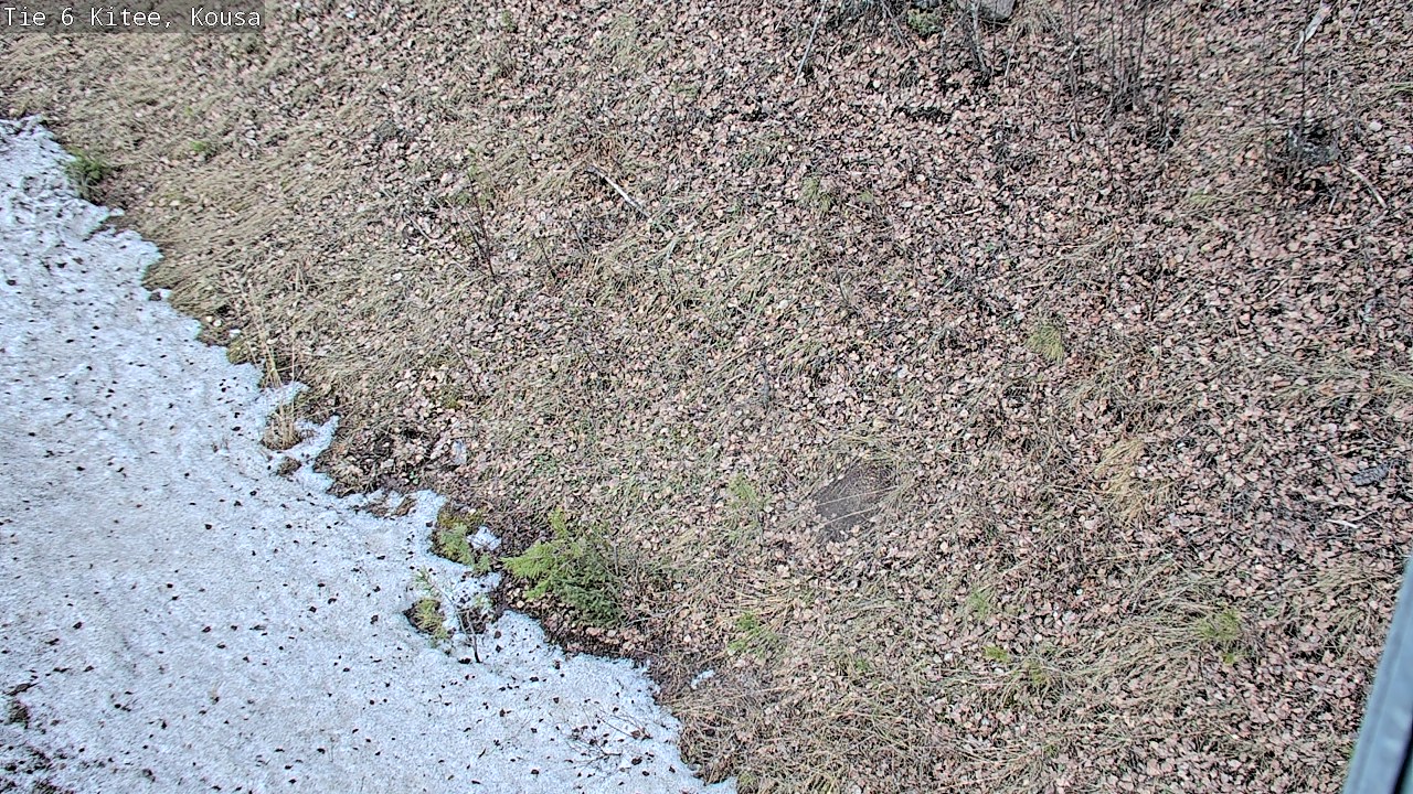 Kelikamerat Kuva Tie 6, Kitee, Kousa, Kitee, Pohjois-Karjala