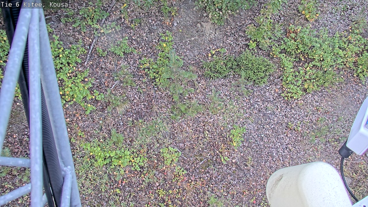 Weather Camera Image Road 6, Kitee, Kousa, Kitee, Pohjois-Karjala