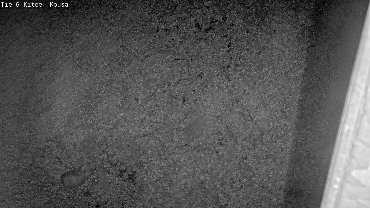 Weather Camera Image Road 6, Kitee, Kousa, Kitee, Pohjois-Karjala
