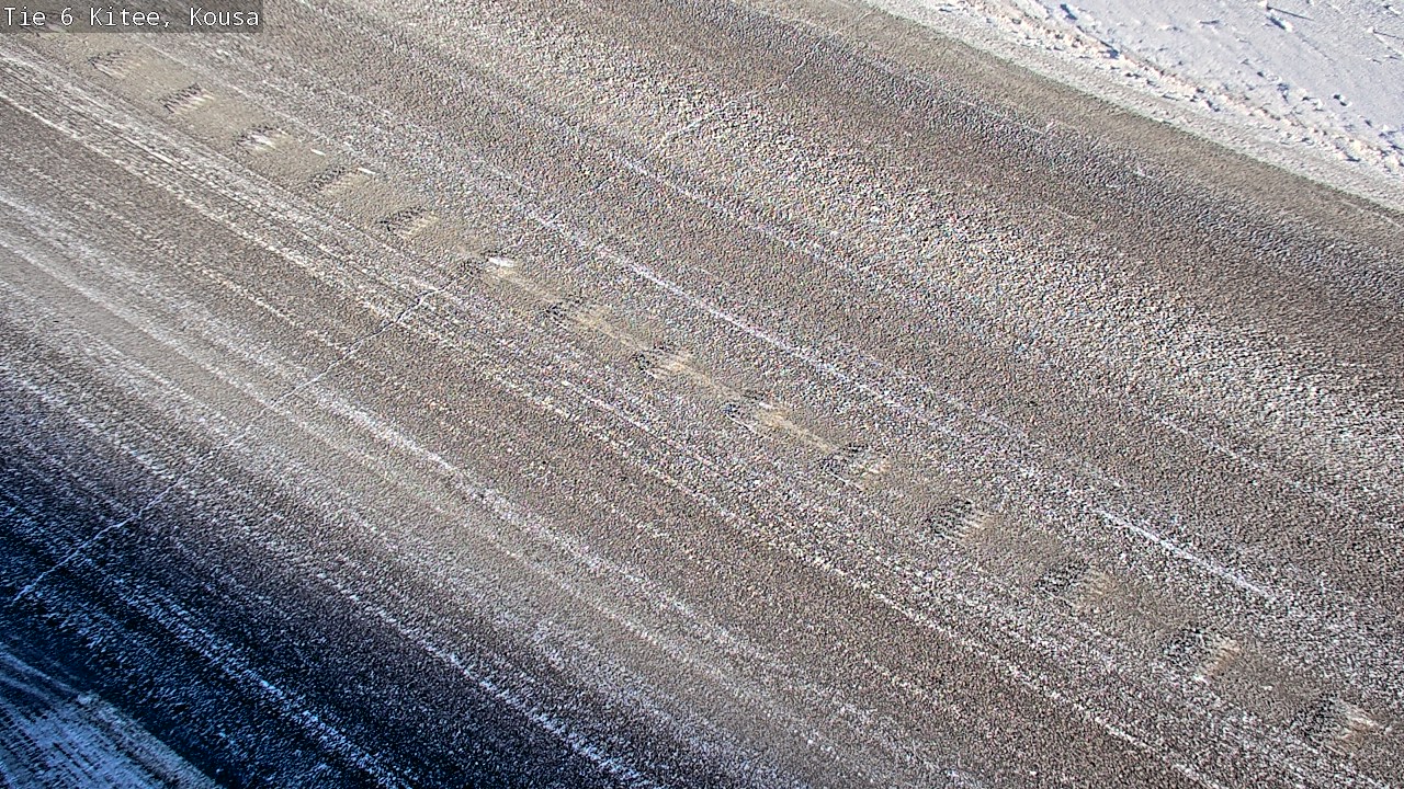 Weather Camera Image Road 6, Kitee, Kousa, Kitee, Pohjois-Karjala