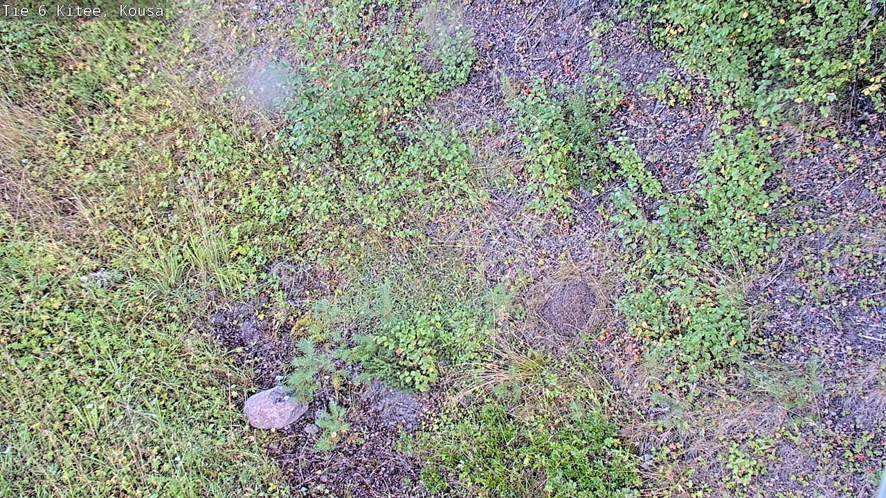 Weather Camera Image Road 6, Kitee, Kousa, Kitee, Pohjois-Karjala