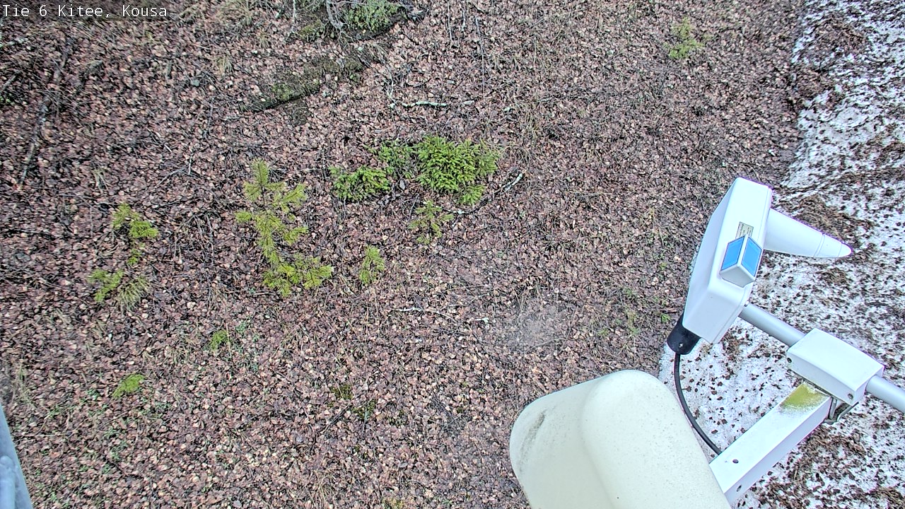 Weather Camera Image Road 6, Kitee, Kousa, Kitee, Pohjois-Karjala