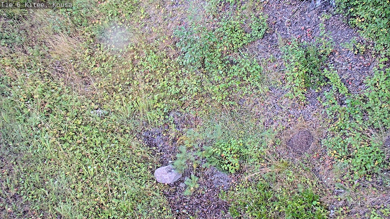 Weather Camera Image Road 6, Kitee, Kousa, Kitee, Pohjois-Karjala