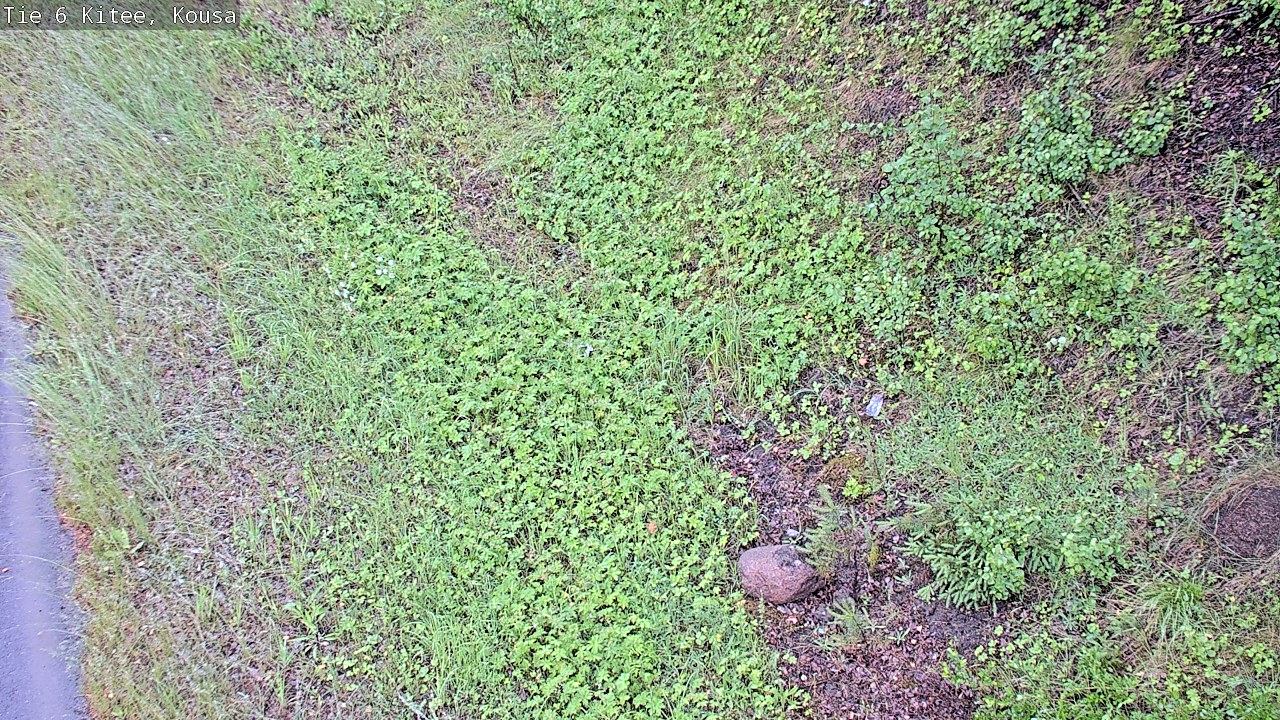 Weather Camera Image Väg 6, Kitee, Kousa, Kitee, Pohjois-Karjala