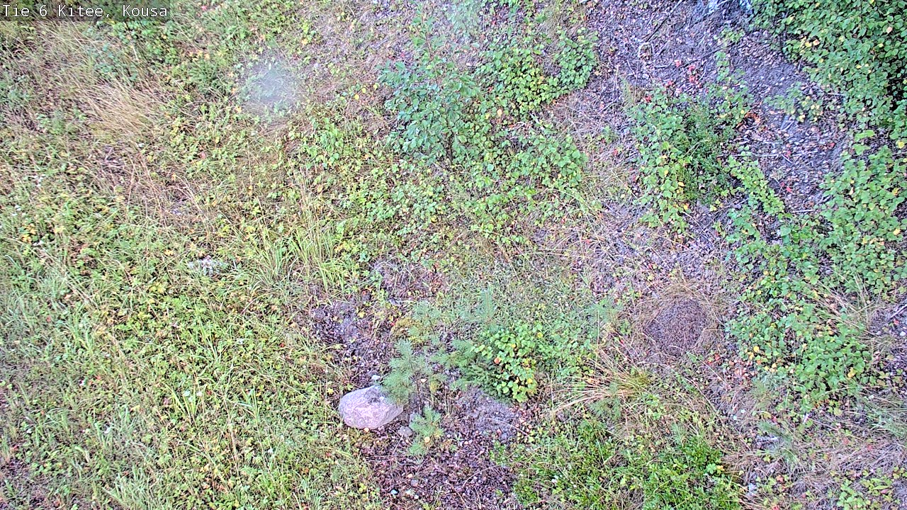 Weather Camera Image Road 6, Kitee, Kousa, Kitee, Pohjois-Karjala