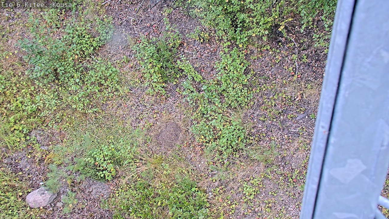 Weather Camera Image Road 6, Kitee, Kousa, Kitee, Pohjois-Karjala