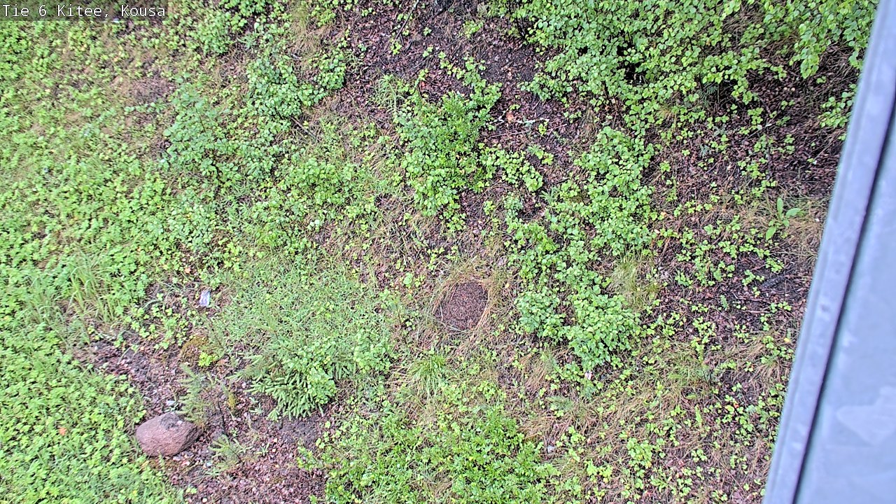 Weather Camera Image Road 6, Kitee, Kousa, Kitee, Pohjois-Karjala