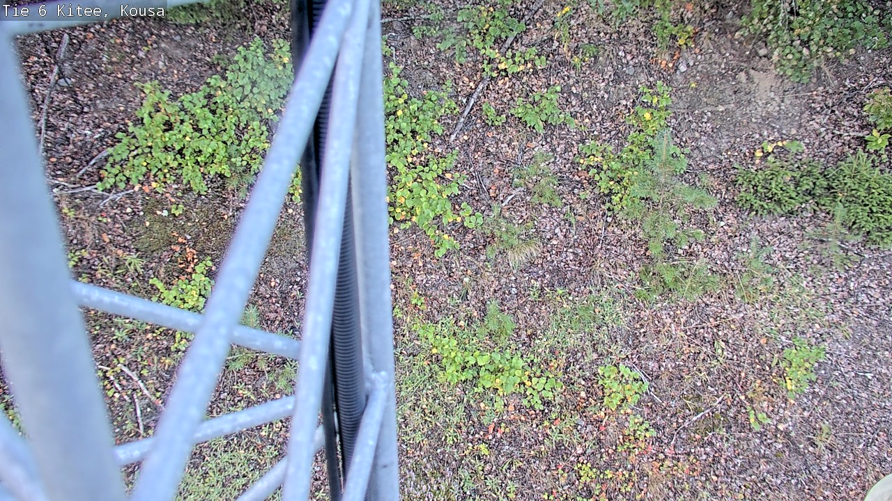 Kelikamerat Kuva Tie 6, Kitee, Kousa, Kitee, Pohjois-Karjala