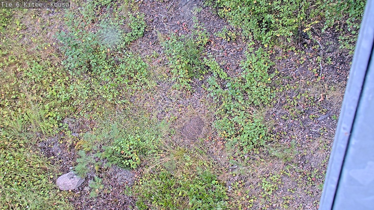 Weather Camera Image Road 6, Kitee, Kousa, Kitee, Pohjois-Karjala