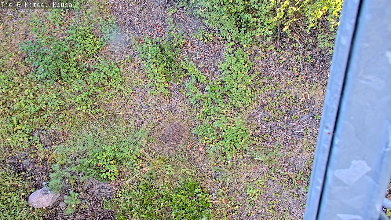 Weather Camera Image Road 6, Kitee, Kousa, Kitee, Pohjois-Karjala