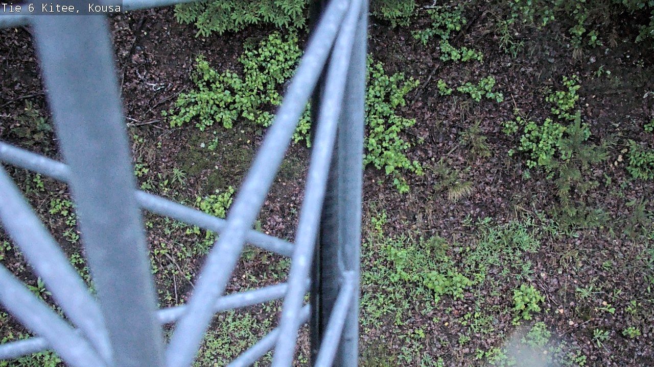 Kelikamerat Kuva Tie 6, Kitee, Kousa, Kitee, Pohjois-Karjala