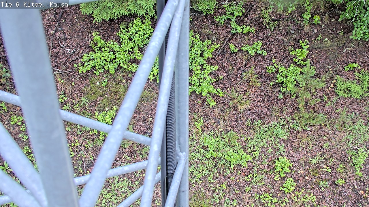 Kelikamerat Kuva Tie 6, Kitee, Kousa, Kitee, Pohjois-Karjala