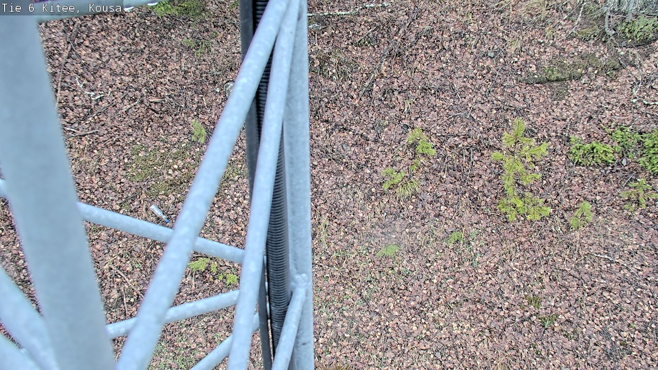 Weather Camera Image Road 6, Kitee, Kousa, Kitee, Pohjois-Karjala