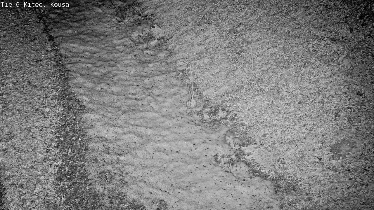 Kelikamerat Kuva Tie 6, Kitee, Kousa, Kitee, Pohjois-Karjala