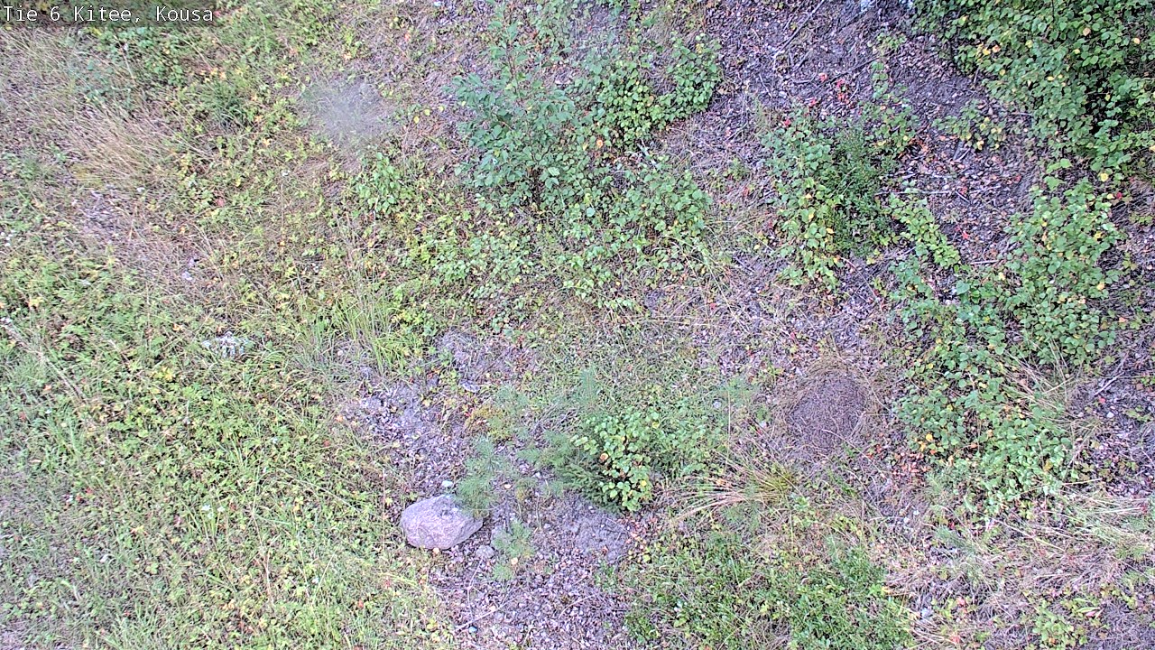 Weather Camera Image Road 6, Kitee, Kousa, Kitee, Pohjois-Karjala