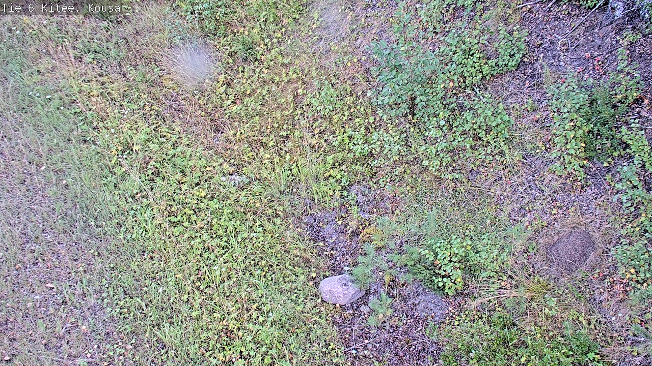 Weather Camera Image Road 6, Kitee, Kousa, Kitee, Pohjois-Karjala